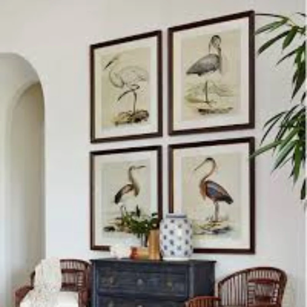 🖤5/$25 Antique Ornithological Bird Print Original